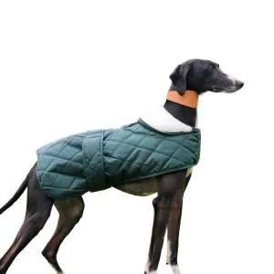 Ancol Quilted Hound Coat 43cm