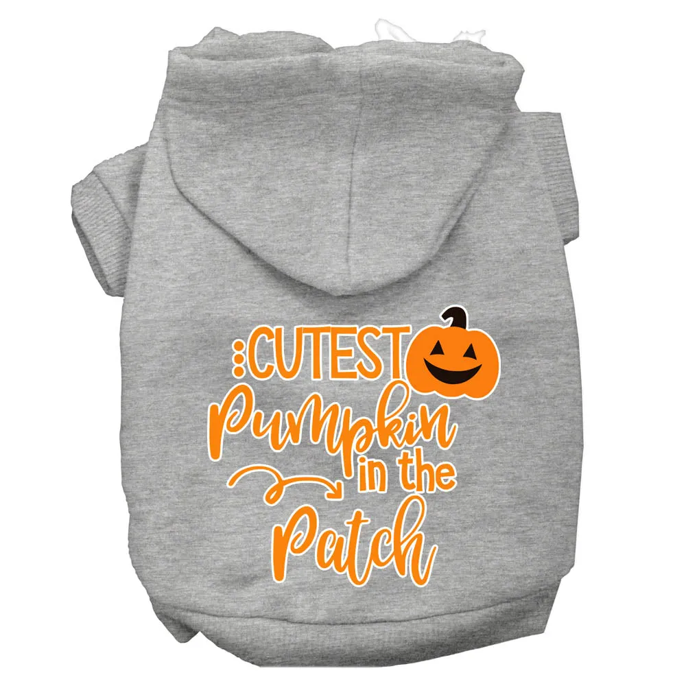 Cutest Pumpkin In The Patch Screen Print Dog Hoodie Grey Xs