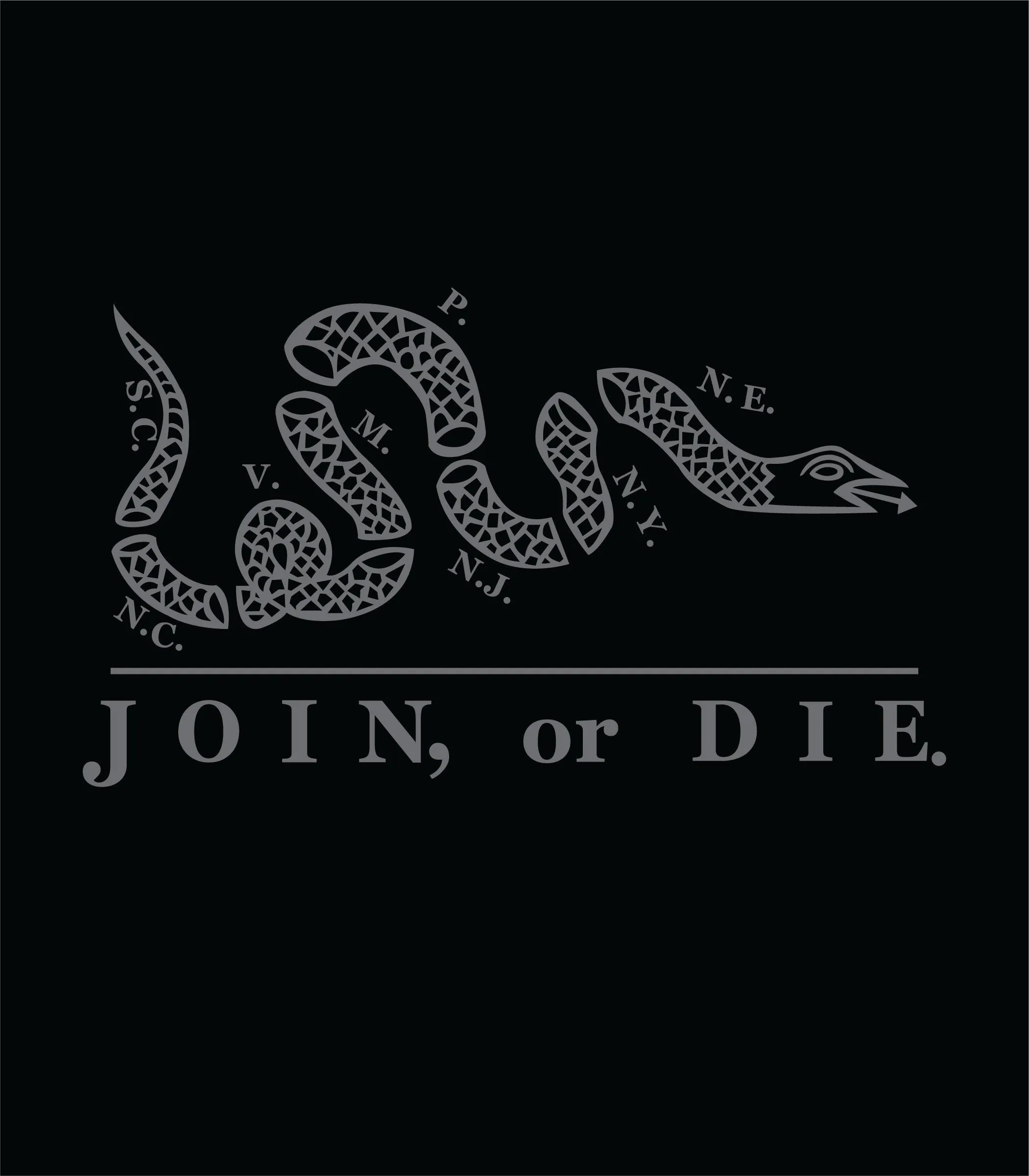 Join or Die American Flag Hoodie | 2nd amendment | Distressed Flag Hoodie | Join or Die Flag | Unisex Hoodie