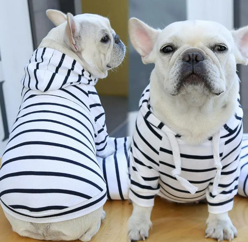 Pet Hoodie Striped Teddy Bichon Falcon Dress