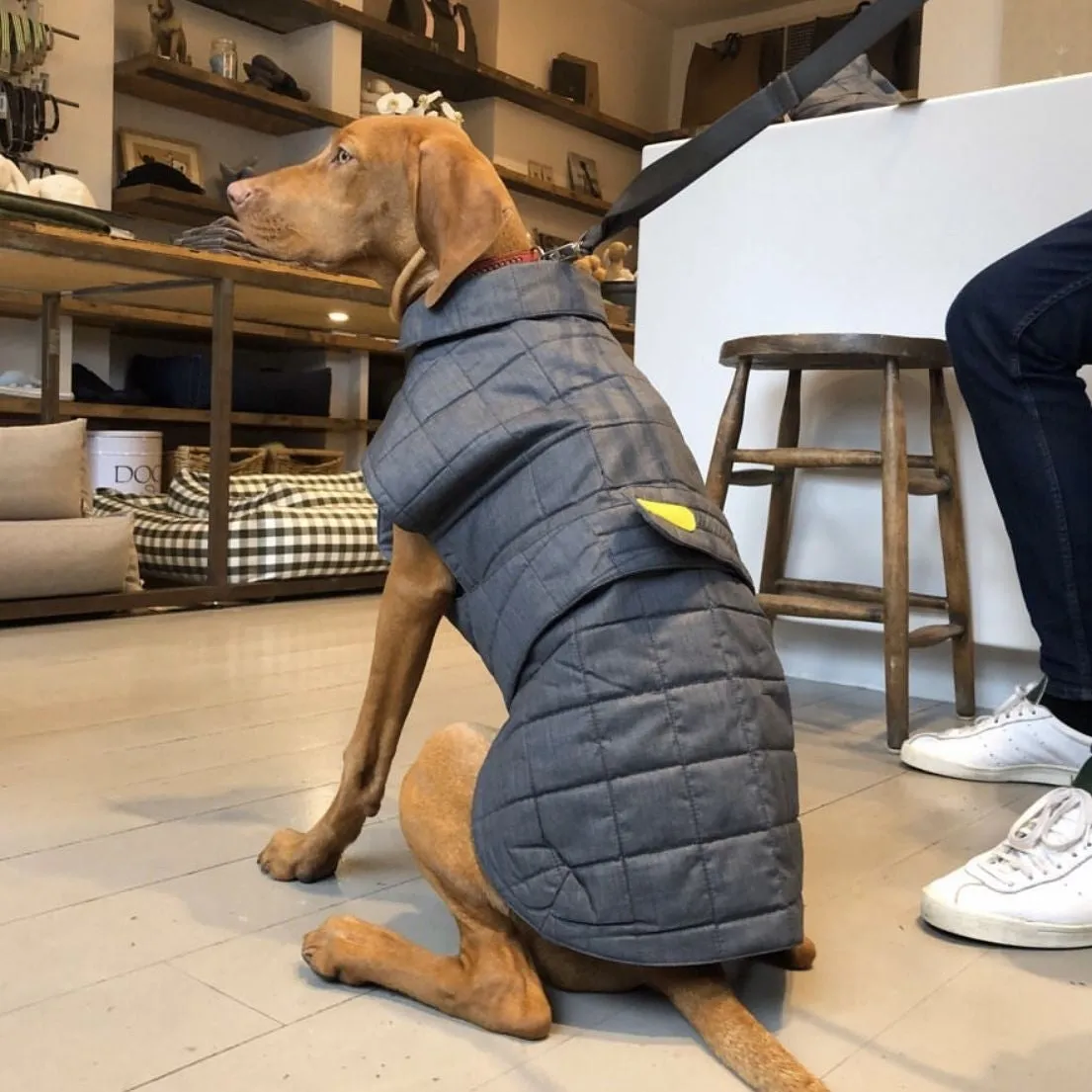 Quilted Dog Coat