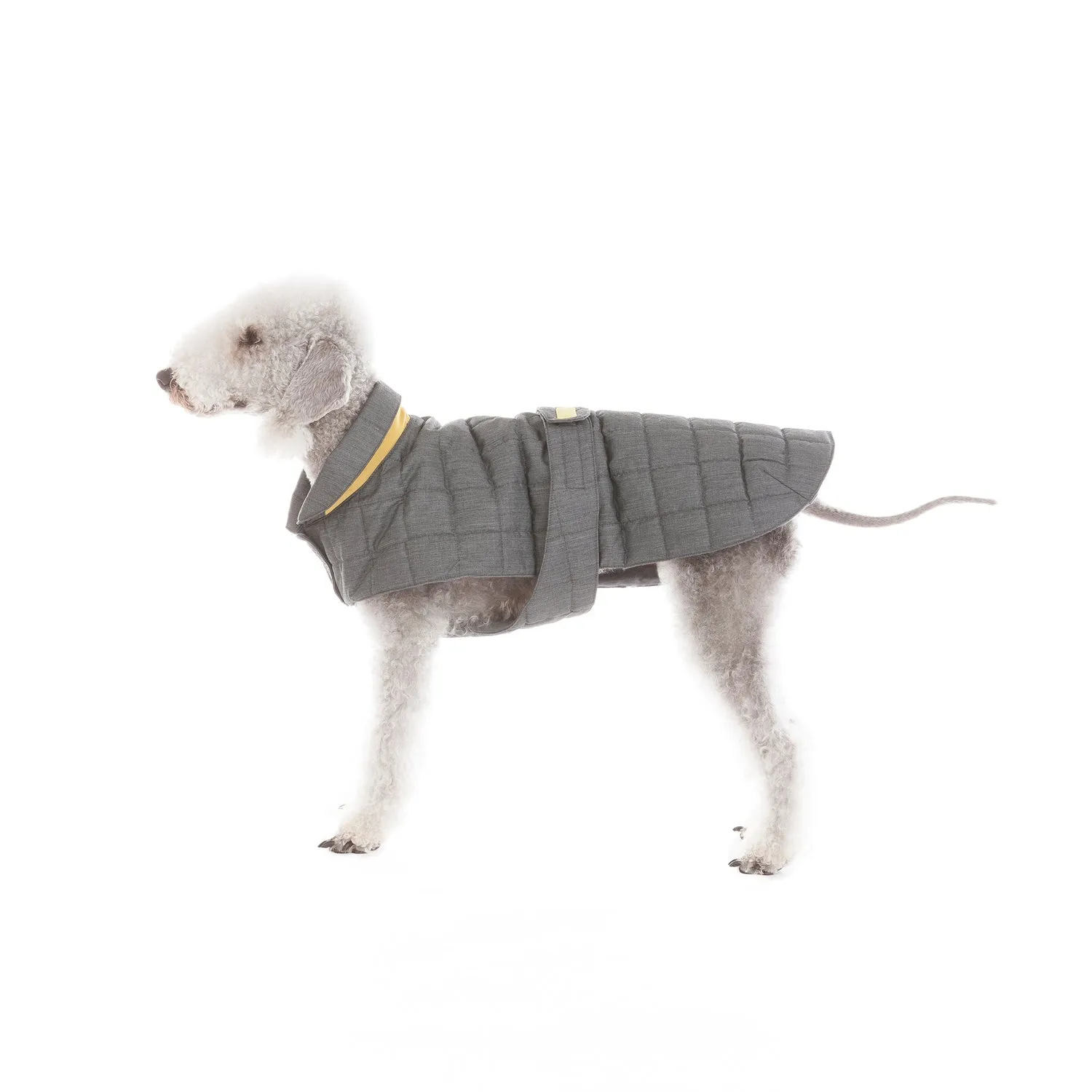 Quilted Dog Coat